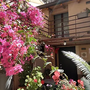 Mizzicahome Solemare Catania